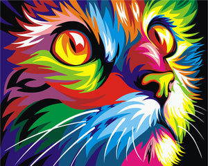 Paint by numbers Art kit - Colourful Cat
